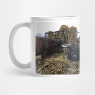 Scottish Highland Cattle Cows and Bull 2181 Mug